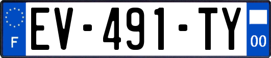 EV-491-TY