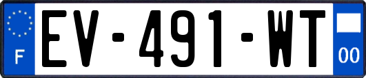 EV-491-WT