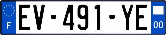 EV-491-YE