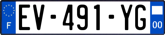 EV-491-YG