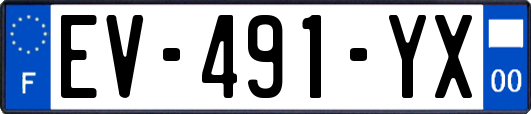 EV-491-YX