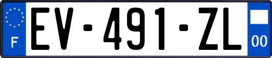 EV-491-ZL