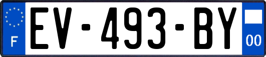 EV-493-BY