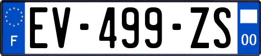 EV-499-ZS