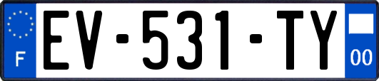 EV-531-TY