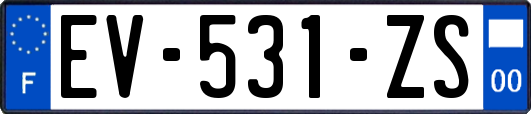 EV-531-ZS