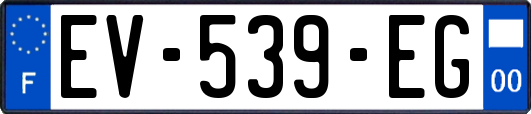 EV-539-EG