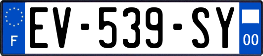 EV-539-SY