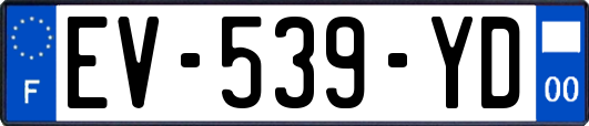 EV-539-YD