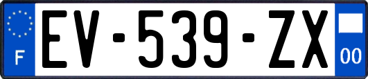 EV-539-ZX