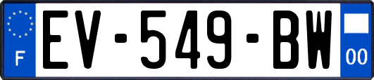 EV-549-BW