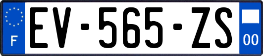 EV-565-ZS