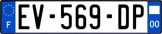 EV-569-DP