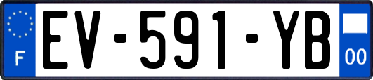 EV-591-YB