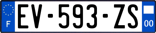 EV-593-ZS