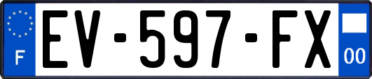 EV-597-FX