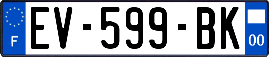 EV-599-BK