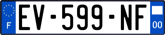 EV-599-NF
