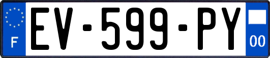 EV-599-PY
