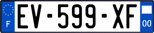 EV-599-XF