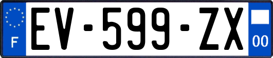 EV-599-ZX