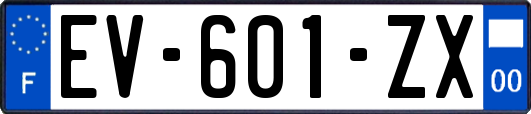 EV-601-ZX