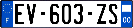 EV-603-ZS