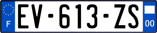 EV-613-ZS