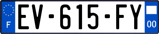 EV-615-FY