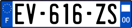 EV-616-ZS