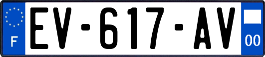 EV-617-AV