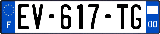 EV-617-TG