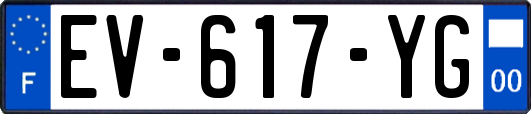 EV-617-YG