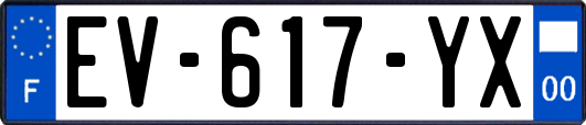 EV-617-YX