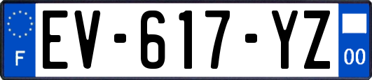 EV-617-YZ