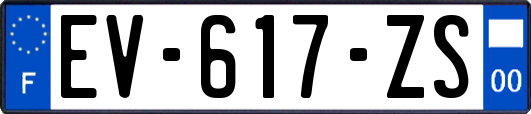 EV-617-ZS