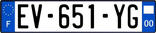 EV-651-YG