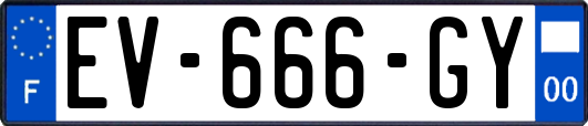 EV-666-GY
