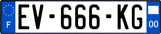 EV-666-KG