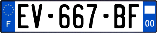 EV-667-BF