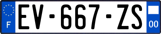 EV-667-ZS