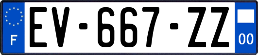 EV-667-ZZ