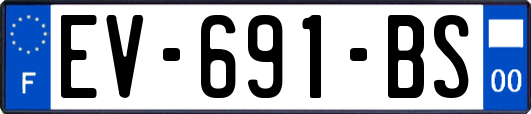 EV-691-BS