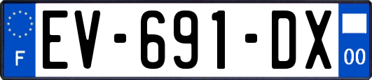EV-691-DX