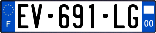 EV-691-LG