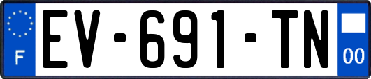 EV-691-TN