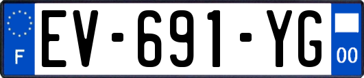 EV-691-YG
