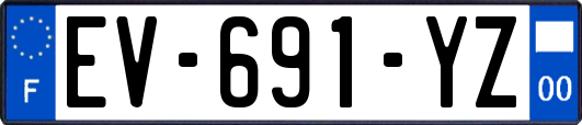 EV-691-YZ