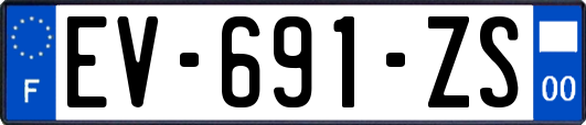 EV-691-ZS