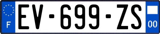 EV-699-ZS